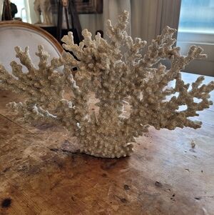 White Glittered Coral Sculpture